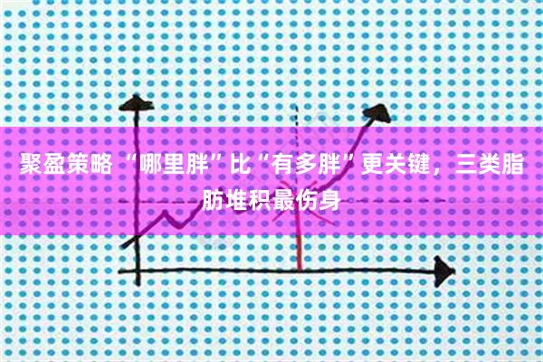 聚盈策略 “哪里胖”比“有多胖”更关键，三类脂肪堆积最伤身