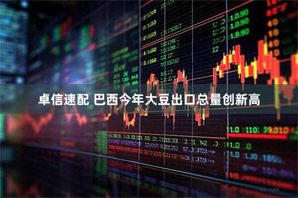 卓信速配 巴西今年大豆出口总量创新高
