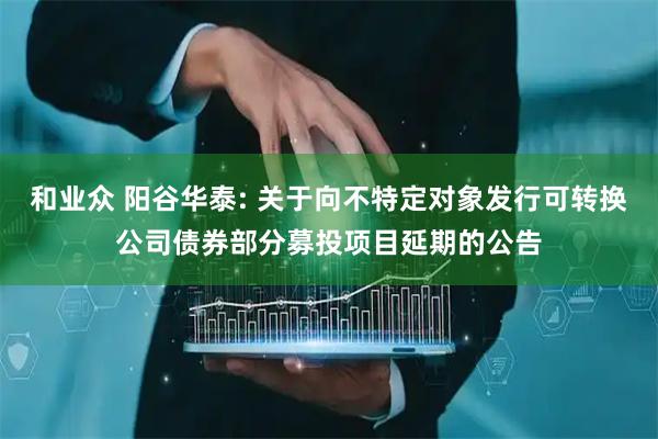 和业众 阳谷华泰: 关于向不特定对象发行可转换公司债券部分募投项目延期的公告