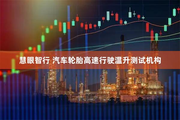 慧眼智行 汽车轮胎高速行驶温升测试机构