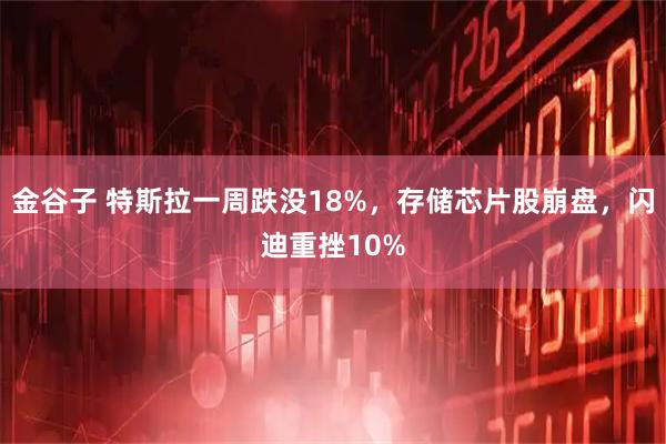 金谷子 特斯拉一周跌没18%，存储芯片股崩盘，闪迪重挫10%