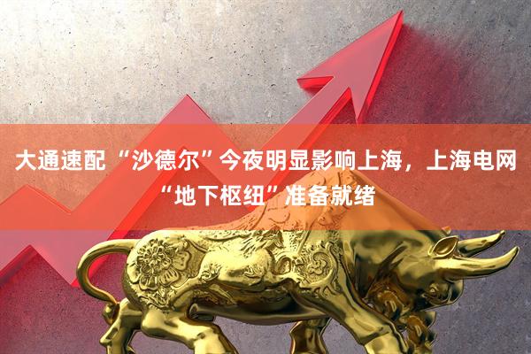 大通速配 “沙德尔”今夜明显影响上海，上海电网“地下枢纽”准备就绪