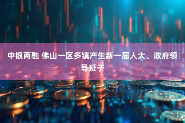 中银两融 佛山一区多镇产生新一届人大、政府领导班子